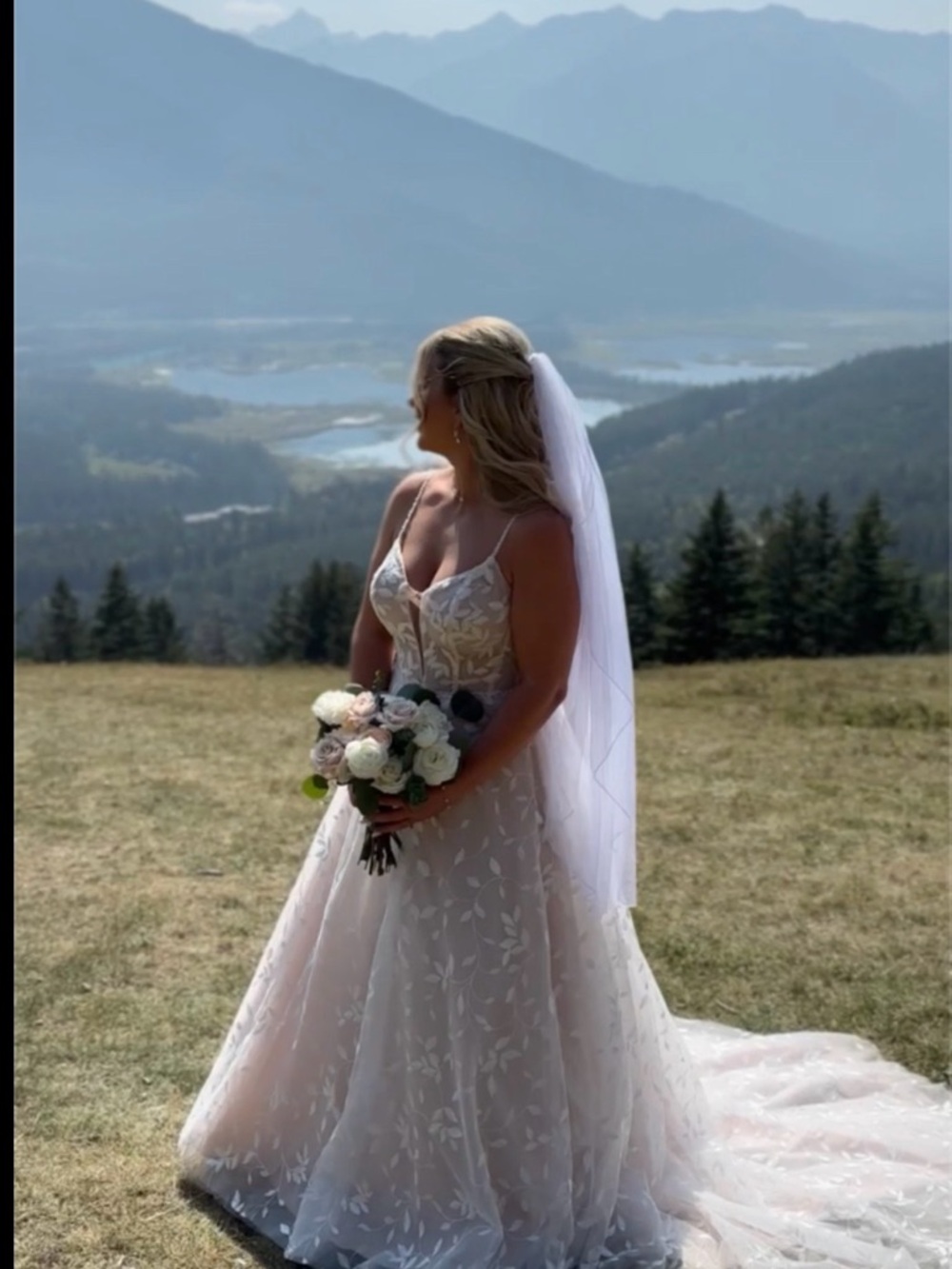 Essence of Australia D3779